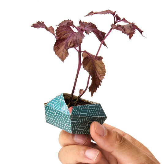 1OriBon 日本の伝統柄 藍色