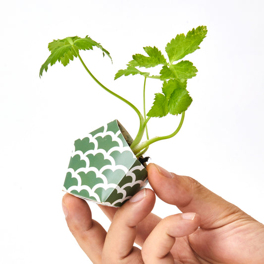 1OriBon 日本の伝統柄 山鳩色