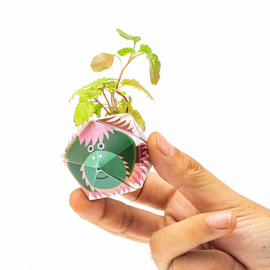 1OriBon オランウータン