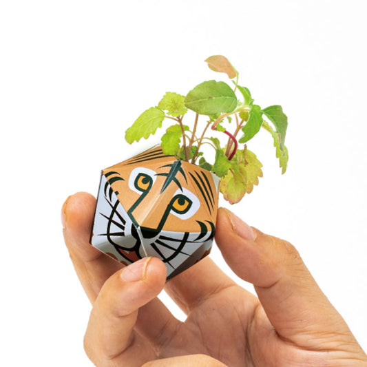 1OriBon ベンガルトラ