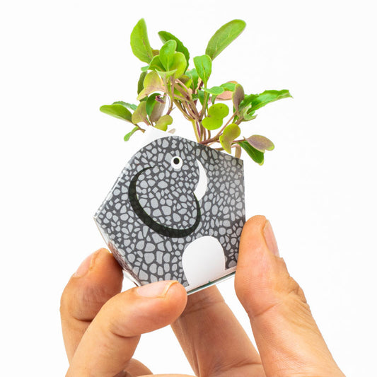 1OriBon スマトラゾウ