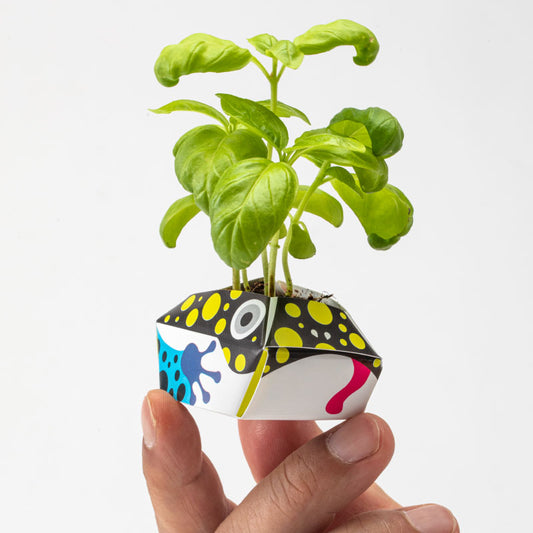 1OriBon ヤドクガエル