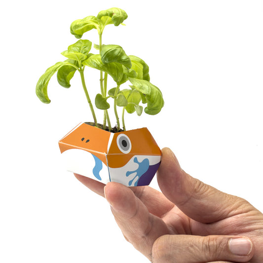 1OriBon ドクフキヤガエル