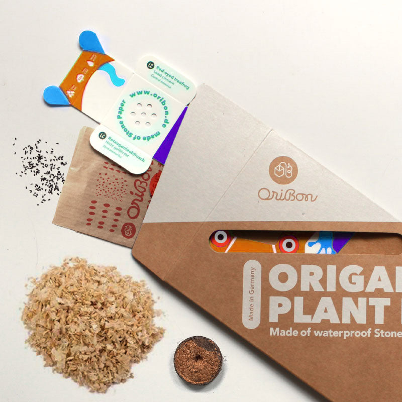 1OriBon ドクフキヤガエル