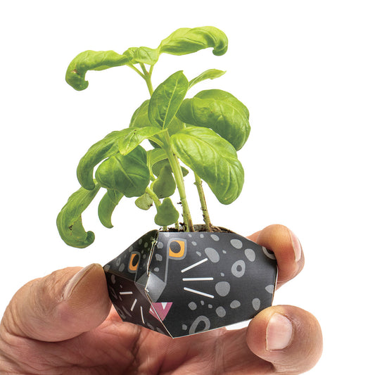 1OriBon クロヒョウ