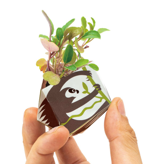 1OriBon ナマケモノ