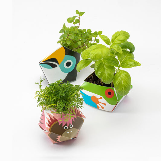 アーバンジャングルキット 熱帯雨林の動物コレクション A