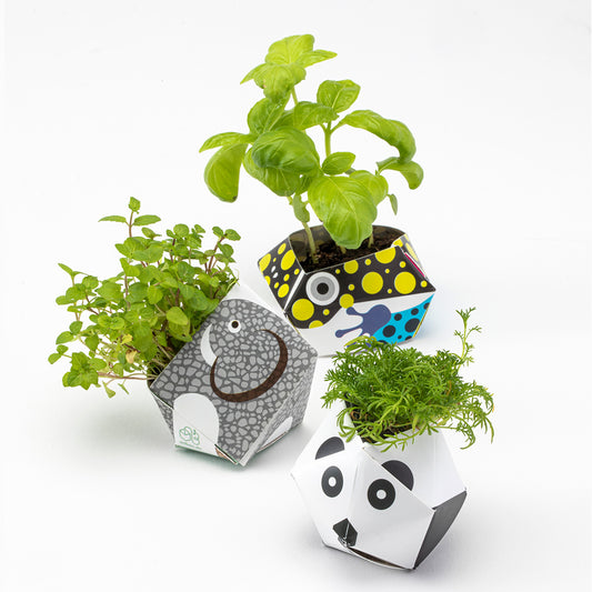 アーバンジャングルキット 熱帯雨林の動物コレクション B