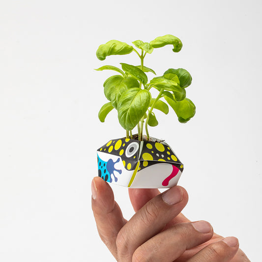 アーバンジャングルキット 熱帯雨林の動物コレクション B