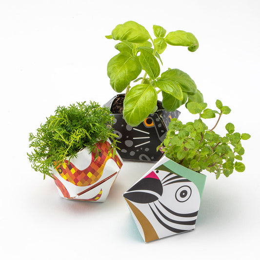 アーバンジャングルキット 熱帯雨林の動物コレクション C